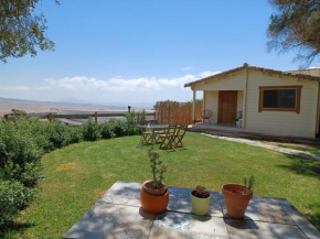 WOODHOUSE, Tarifa